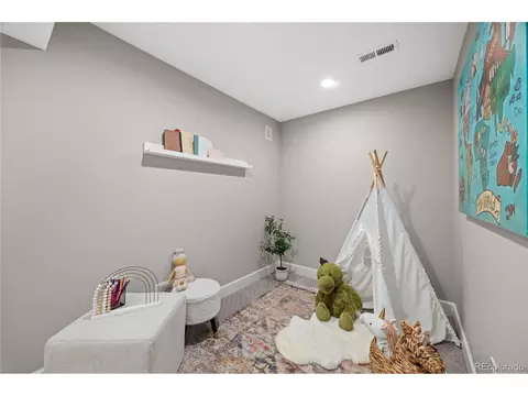 8564 E 28th Ave, Denver, CO 80238 photo 24