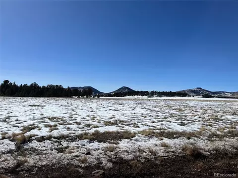 Doe Valley Rd, Guffey, CO 80820 photo 12