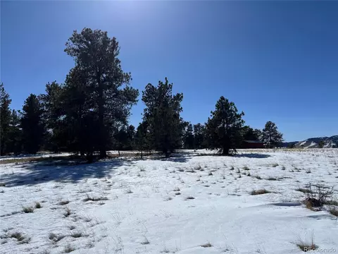 Doe Valley Rd, Guffey, CO 80820 photo 9