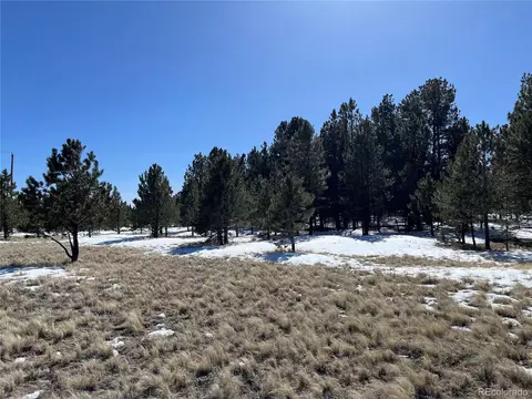 Doe Valley Rd, Guffey, CO 80820 photo 10