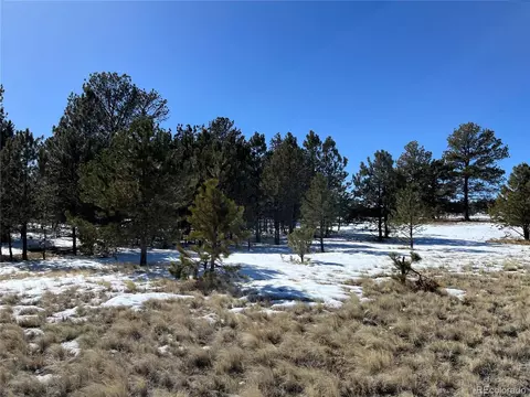Doe Valley Rd, Guffey, CO 80820 photo 11