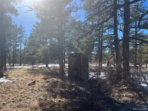 Doe Valley Rd, Guffey, CO 80820 photo 13