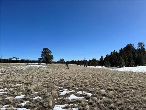 Doe Valley Rd, Guffey, CO 80820 photo 7