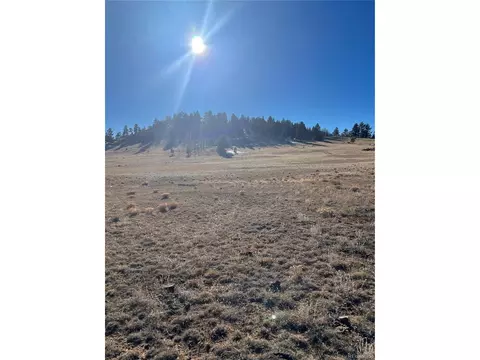 1642 Garfield Rd, Hartsel, CO 80449