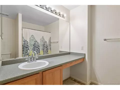 20374 E 49th Ave, Denver, CO 80249 photo 21