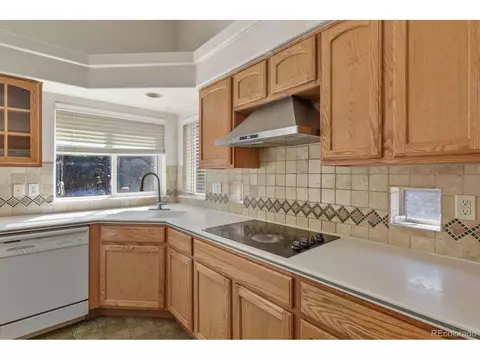 20374 E 49th Ave, Denver, CO 80249 photo 10
