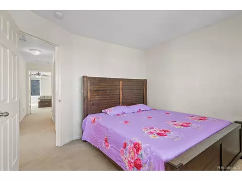 20374 E 49th Ave, Denver, CO 80249 photo 22