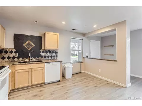 1040 E 78th Pl, Denver, CO 80229 photo 12