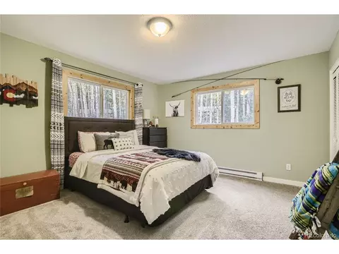 10767 Timothys Dr, Conifer, CO 80433 photo 13