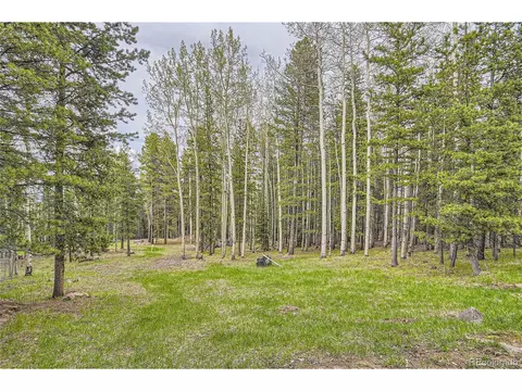 10767 Timothys Dr, Conifer, CO 80433 photo 26
