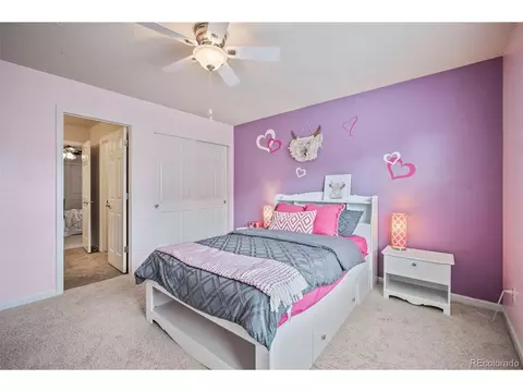 3534 E 143rd Pl, Thornton, CO 80602 photo 33