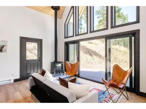 562 Gold Flake Ter, Bailey, CO 80421 photo 12