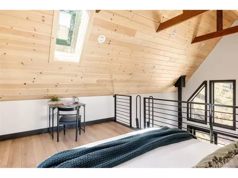 562 Gold Flake Ter, Bailey, CO 80421 photo 20