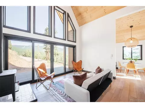 562 Gold Flake Ter, Bailey, CO 80421 photo 10