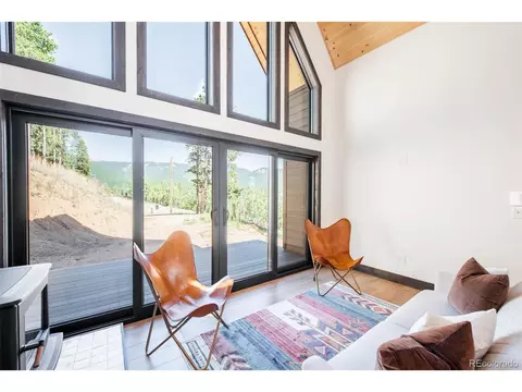 562 Gold Flake Ter, Bailey, CO 80421 photo 11