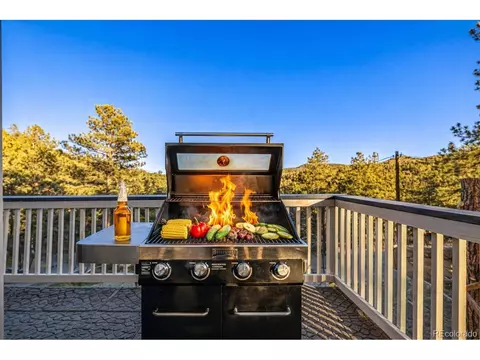 730 Bendemeer Dr, Evergreen, CO 80439 photo 6
