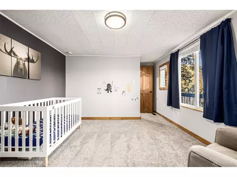 730 Bendemeer Dr, Evergreen, CO 80439 photo 35