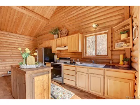 7414 County Road 43, Bailey, CO 80421 photo 15