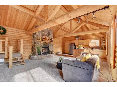 7414 County Road 43, Bailey, CO 80421 photo 9