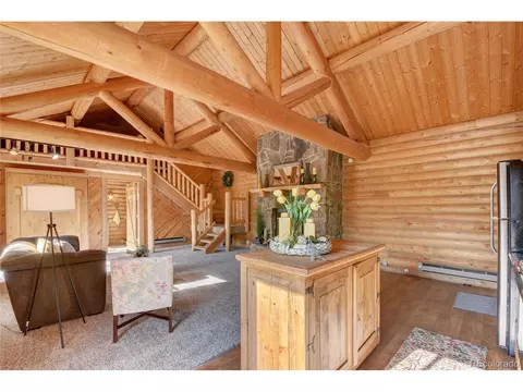 7414 County Road 43, Bailey, CO 80421 photo 16