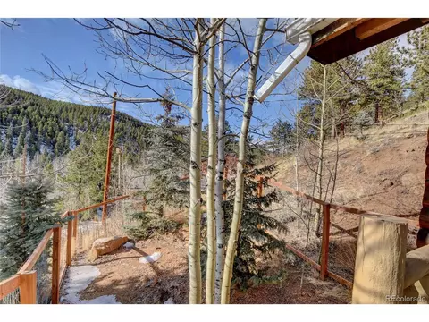 7414 County Road 43, Bailey, CO 80421 photo 29