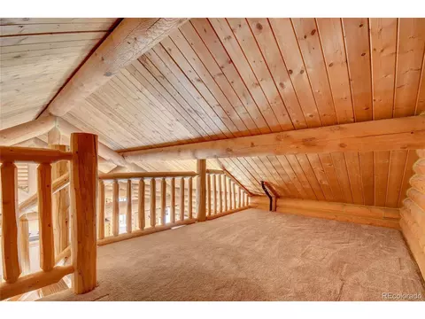 7414 County Road 43, Bailey, CO 80421 photo 22