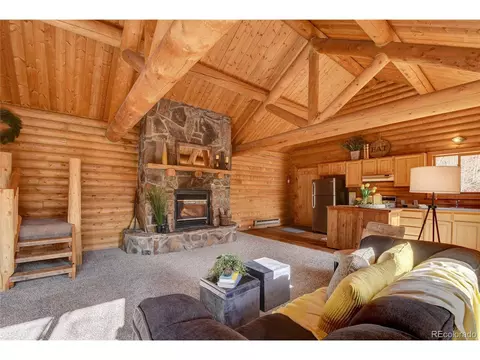 7414 County Road 43, Bailey, CO 80421 photo 12