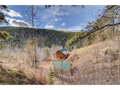 7414 County Road 43, Bailey, CO 80421 photo 25