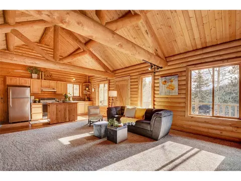 7414 County Road 43, Bailey, CO 80421 photo 10