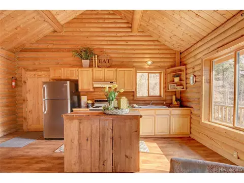 7414 County Road 43, Bailey, CO 80421 photo 13