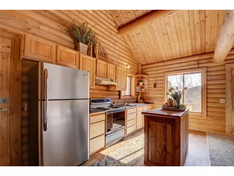 7414 County Road 43, Bailey, CO 80421 photo 14