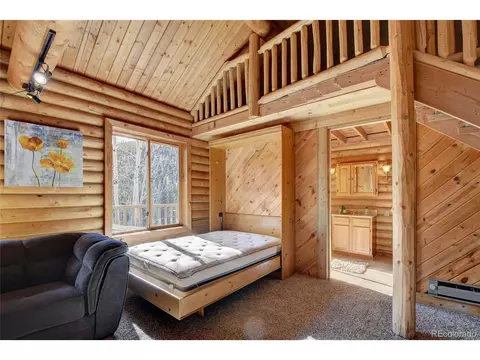 7414 County Road 43, Bailey, CO 80421 photo 18