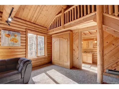 7414 County Road 43, Bailey, CO 80421 photo 17