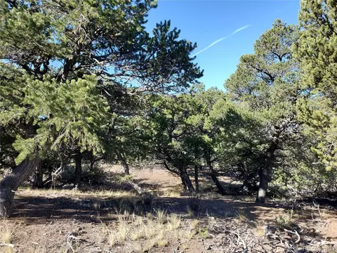 7195 Speer Rd, Fort Garland, CO 81133