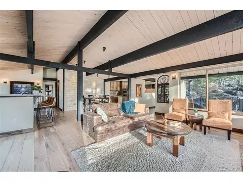 21437 Alta Dr, Morrison, CO 80465 photo 7