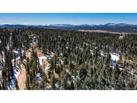 161 Pinewood Rd, Florissant, CO 80816