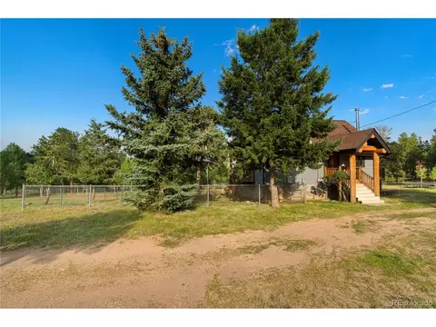 156 Pinon Rd, Bailey, CO 80421 photo 3