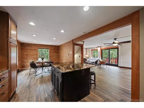 10499 Christopher Dr, Conifer, CO 80433 photo 7