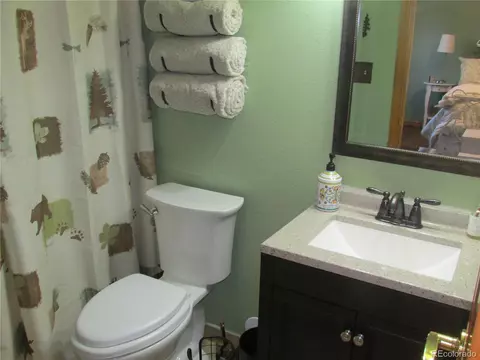 482 Overlook Dr, Bailey, CO 80421 photo 24