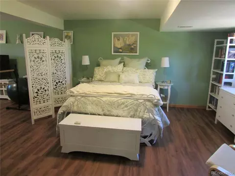 482 Overlook Dr, Bailey, CO 80421 photo 23