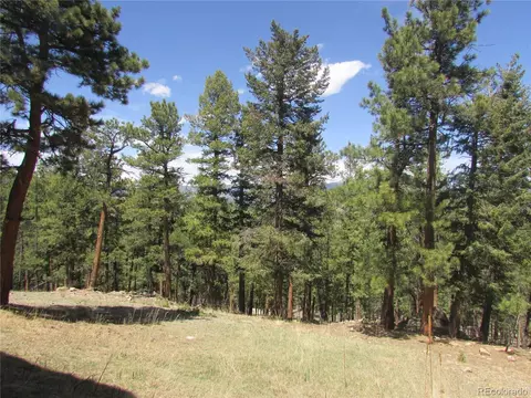 482 Overlook Dr, Bailey, CO 80421 photo 4