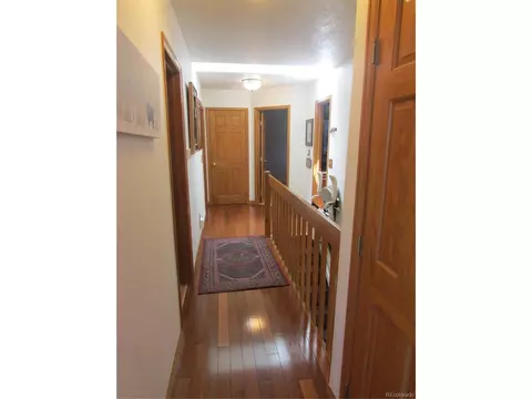 482 Overlook Dr, Bailey, CO 80421 photo 12