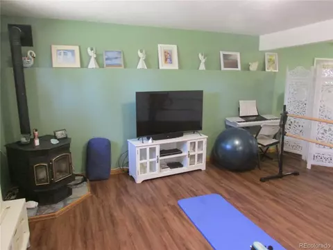 482 Overlook Dr, Bailey, CO 80421 photo 20