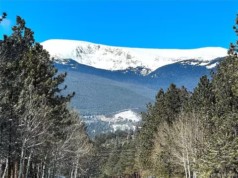 993 Vigilante Ave, Bailey, CO 80421