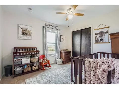 26540 Flower Cir, Simla, CO 80835 photo 21