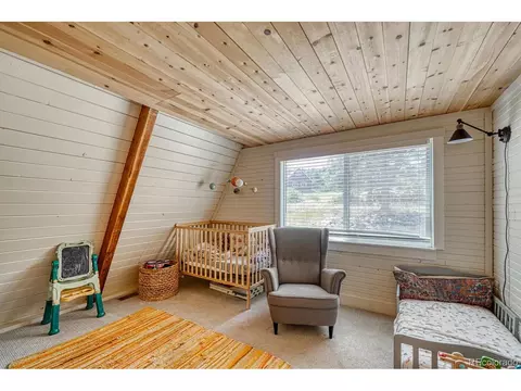 115 Loop Dr, Howard, CO 81233 photo 19