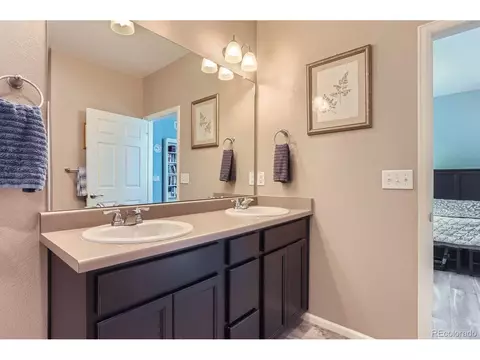 10238 Stagecoach Ave, Longmont, CO 80504 photo 13