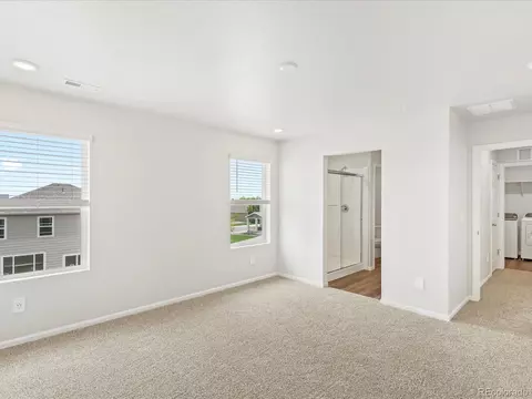 1675 Rumley Creek Dr, Windsor, CO 80550 photo 28