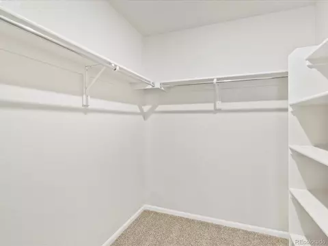 1675 Rumley Creek Dr, Windsor, CO 80550 photo 31