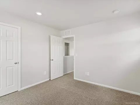 1675 Rumley Creek Dr, Windsor, CO 80550 photo 39